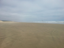 thumb_2014-11-24_14.53.09.jpg