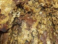 thumb_2014-11-24_16.35.53.jpg