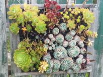 thumb_2014-11-26_15.42.18.jpg