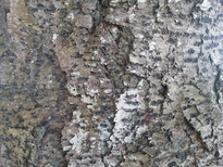 thumb_2014-11-27_10.34.22.jpg