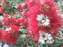 thumb_2014-12-04_10.15.26.jpg
