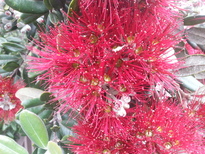 thumb_2014-12-04_10.15.50.jpg