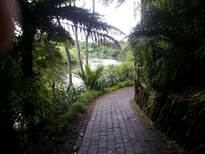 thumb_2014-12-11_09.00.18.jpg
