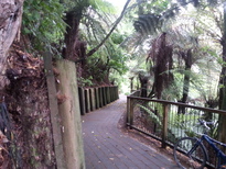 thumb_2014-12-11_09.00.57.jpg