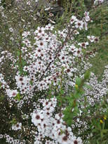 thumb_2014-12-12_12.05.01.jpg