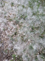 thumb_2014-12-12_12.20.39.jpg