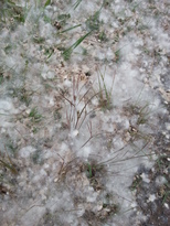 thumb_2014-12-12_12.20.58.jpg