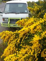 thumb_2014-12-12_16.35.22.jpg