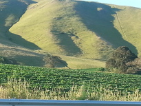 thumb_2014-12-19_19.26.03.jpg