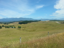 thumb_2015-01-06_10.53.14.jpg