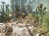 thumb_2015-01-06_11.59.27.jpg