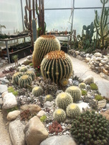 thumb_2015-01-06_11.59.45.jpg