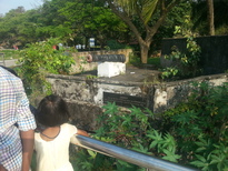thumb_20161029_160423.jpg