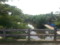 thumb_20161030_112000.jpg