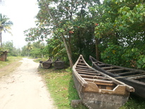 thumb_20161030_114116.jpg