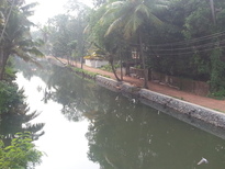 thumb_20161030_152726.jpg