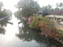 thumb_20161030_162222.jpg