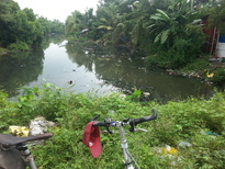 thumb_20161031_111806.jpg