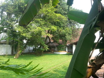 thumb_20161101_143258.jpg