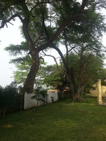 thumb_20161101_144322.jpg