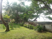 thumb_20161101_144340.jpg