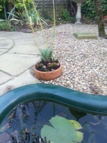 thumb_20161129_135931.jpg