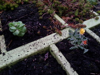 thumb_20161221_101515.jpg