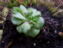 thumb_20161221_101537.jpg