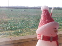 thumb_20161226_091512.jpg