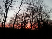 thumb_20161227_162351.jpg