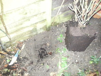 thumb_20170117_163906.jpg