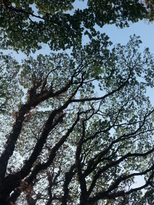 thumb_20170209_152248.jpg