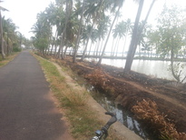 thumb_20170214_154123.jpg