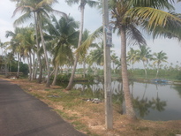 thumb_20170214_154135.jpg