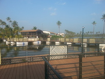 thumb_20170214_163723.jpg