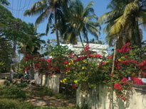 thumb_20170215_104033.jpg