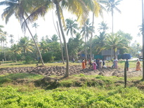 thumb_20170216_092206.jpg