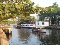 thumb_20170217_172341.jpg