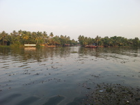 thumb_20170217_175607.jpg