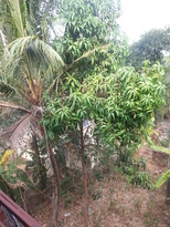 thumb_20170221_160800.jpg