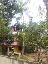 thumb_20170221_161718.jpg