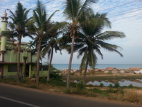 thumb_20170227_082213.jpg