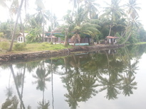 thumb_20170228_154755.jpg