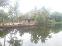 thumb_20170228_154904.jpg