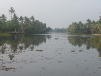 thumb_20170228_162350.jpg