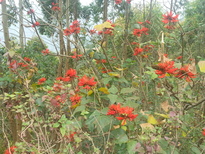 thumb_20170302_130151.jpg