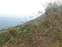 thumb_20170302_130640.jpg