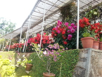 thumb_20170303_095459.jpg