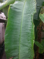 thumb_20170306_104830.jpg