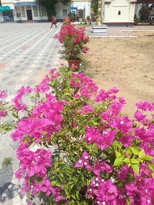 thumb_20170309_114421.jpg